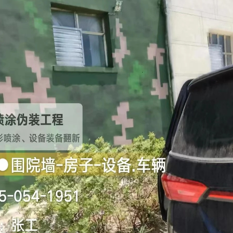 濮阳数码迷彩漆施工